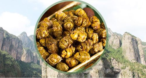 雁荡山铁皮石斛 长沙晚报一楼大厅2.9元起开抢