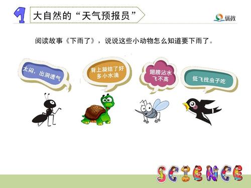大自然的"天气预报员" 阅读故事《下雨了》,说说这些小动物怎么知道要