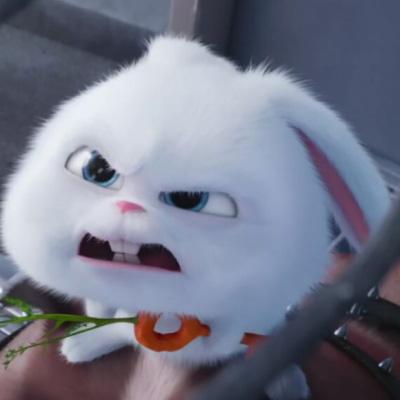 爱宠大机密兔子头像高清图 爱宠小白兔头像图片