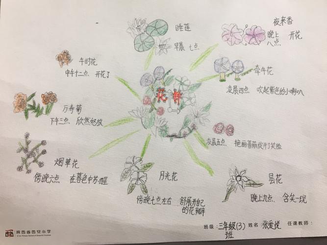 花钟 思维导图