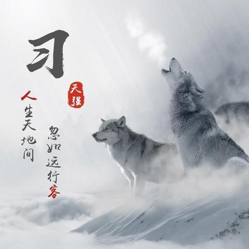 你该换个头像了,24张超霸气的狼虎姓氏微信头像,赶紧领走