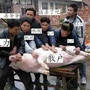 "杀猪盘"套路曝光!文山州一女士被骗14万!