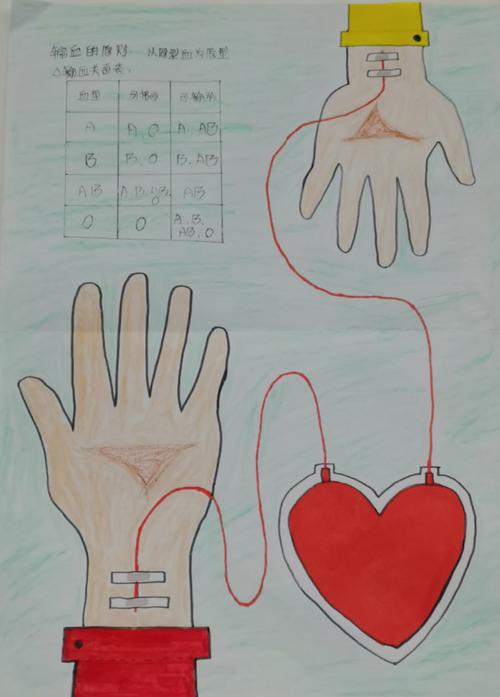 "奇妙的身体"手抄报&思维导图创作大赛 (初二生物教研