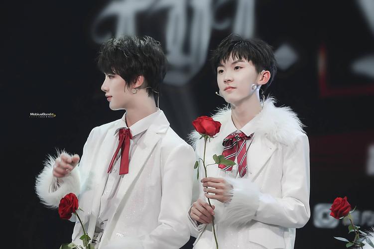 马嘉祺丁程鑫 马丁祺鑫 图源水印 侵删