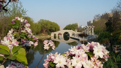 山东省菏泽市牡丹区解放大街靠近新兴社区卫生室(解放大街)天气预报