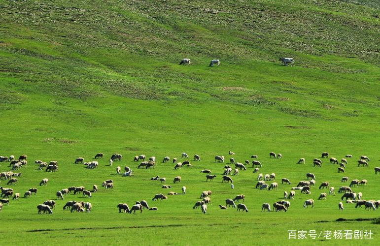旅游:世界著名天然牧场——内蒙古呼伦贝尔草原地理