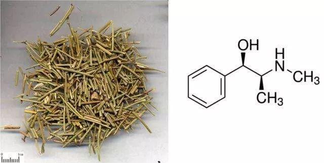 创建全国禁毒示范城市这种凉茶千万不能碰有毒还是剧毒
