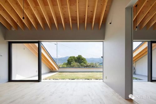 屋顶也是院子,平地上的斜坡木屋-建筑设计资料分享-筑龙建筑设计论坛