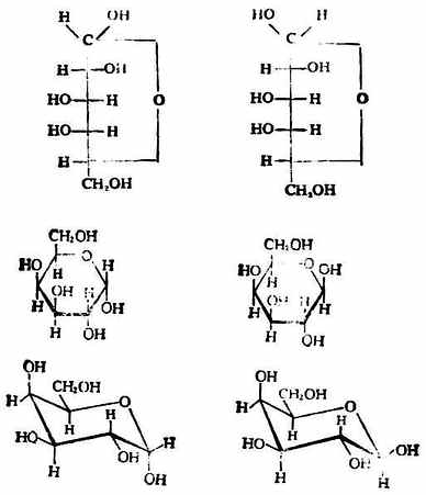 α-d-吡喃半乳糖β-d-吡喃半乳糖