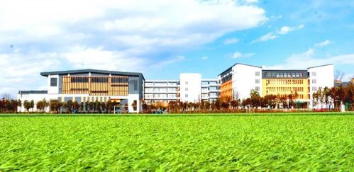 云南长水外国语中学常务副校长解读昆明市小升初新政策变化
