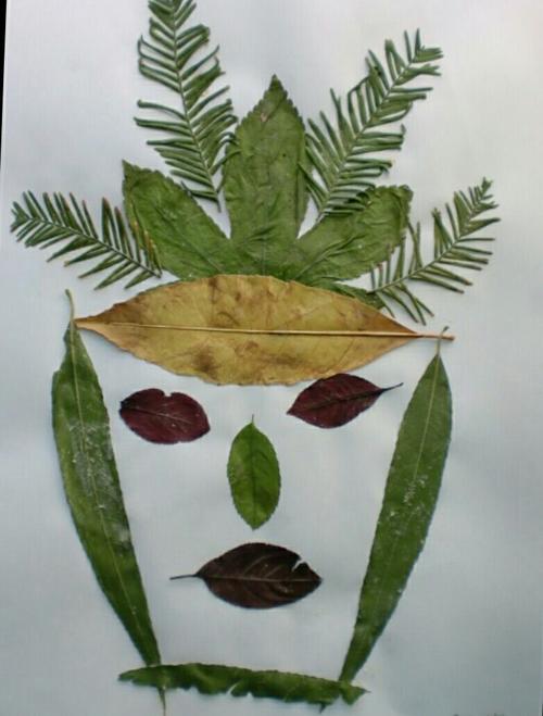 那些悠悠而落的树叶