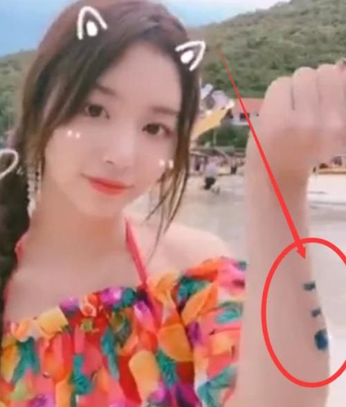 the9纹身,喻言满背,刘雨昕孔雪儿都在手臂,赵小棠藏得