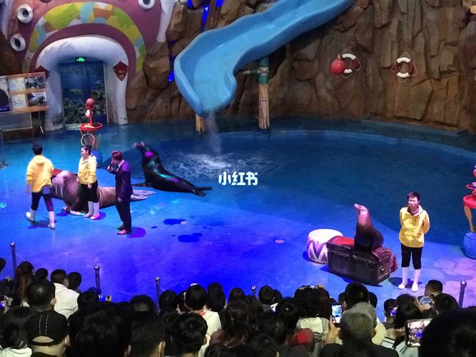 烟台鲸鲨馆_海昌怎么样_修身_摄影_出行_出行攻略