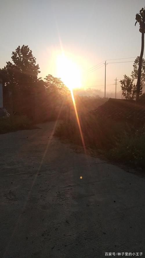 早上的太阳好好看