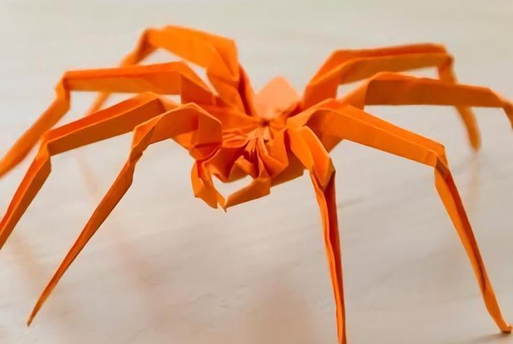 教你折纸一只真正的蜘蛛,折好后丢出去,绝对能吓人一跳!