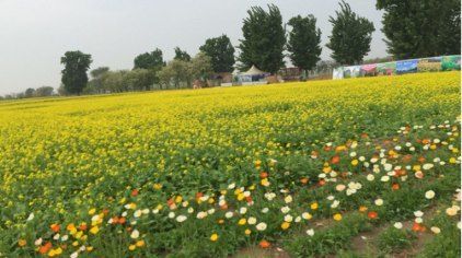 北京紫谷伊甸园门票