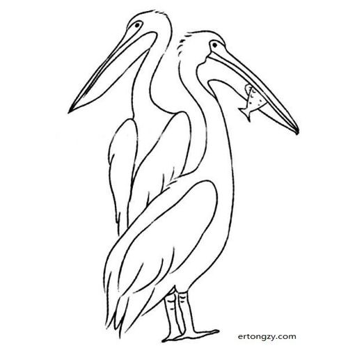 鸬鹚简笔画图片