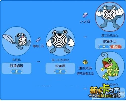 蚊香蝌蚪的分类"蝌蚪神奇宝贝"与圆蝌蚪相同.