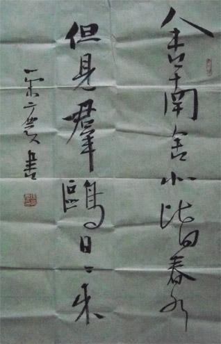 张荣庆老师的书法作品---但见群鸥