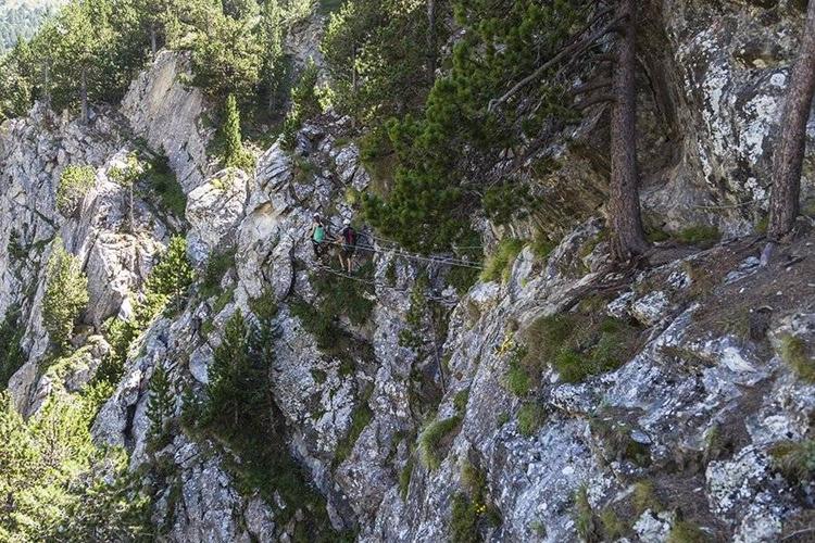 climb mountains and feel free