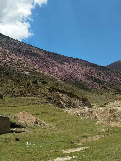 东川落雪矿——小村之恋