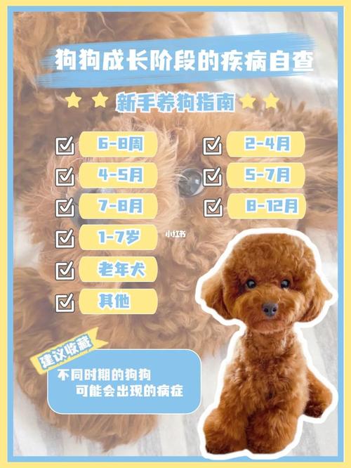 新手养狗指南78狗狗98成长阶段的疾病自查_新手_狗狗_肠道_发烧