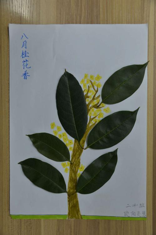 小小树叶 精彩世界 ——二年级树叶画展示