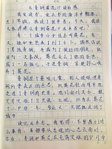 《青铜葵花》读后感