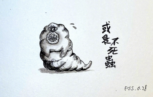 云南虫谷惊悚满分雕鸮痋婴神还原被一个老太太吓得睡不着