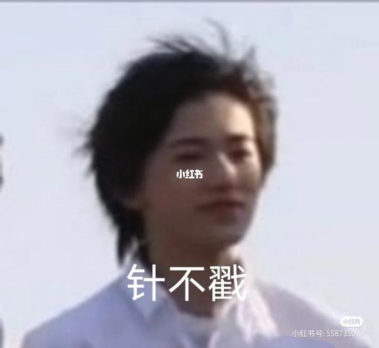宋亚轩表情包_表情包_素材_表情包