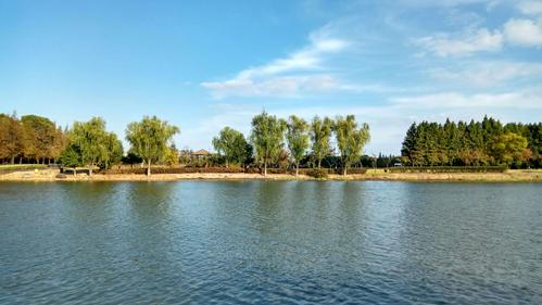 漫步东沙湖生态公园