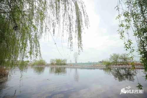 (泉水湾湿地公园实景图)