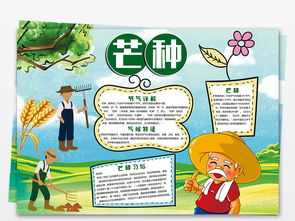 了解农耕文化手抄报