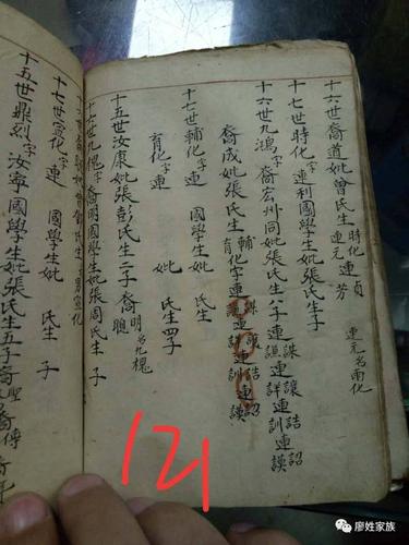 江西吉安廖氏家谱【手抄】
