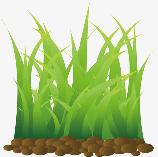 草地,土壤,青草,矢量,png