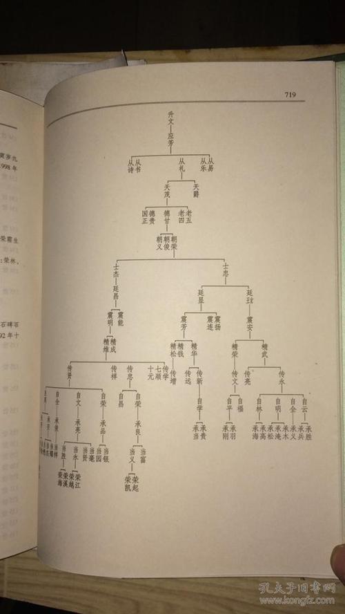 毕节十八家层台耿官堡小坝徐华屯黔西沙窝等地徐氏江南始祖徐达支系