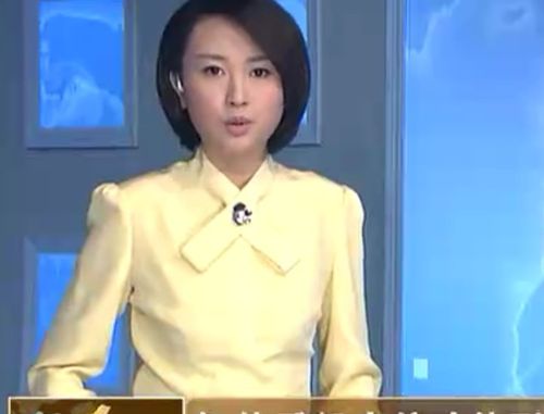 电视 分享到:  2011-04-24 09:42  提问者采纳 主持人叫做欧阳智薇
