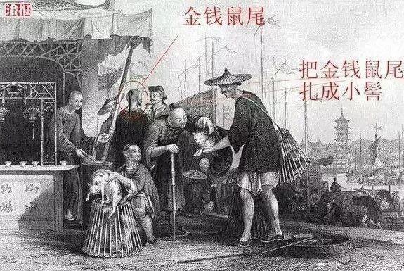 清宫剧骗了我们:原来清朝的辫子是这样的