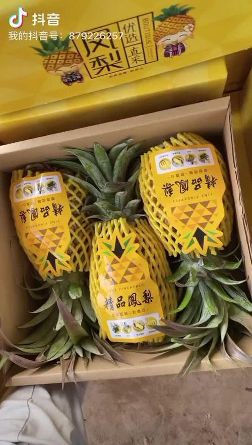 海南金钻凤梨10斤孕妇水果现摘现发7-8分熟菠萝