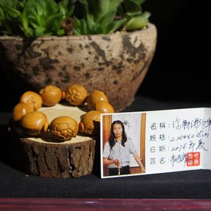 朱晓龙核雕