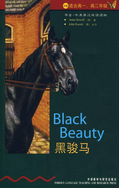 初中黑骏马主题手抄报 环保主题手抄报
