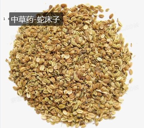 能够杀虫止痒的中草药蛇床子长什么样子?