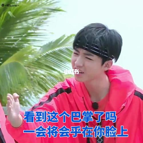 王俊凯表情包_表情包_素材_表情包