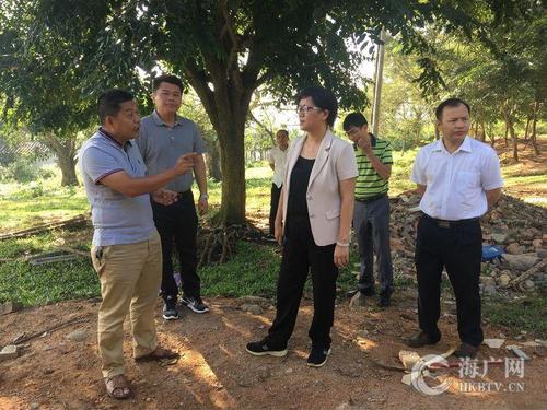 海口琼山区委副书记,区长王和娇深入甲子镇督导危房改造工作