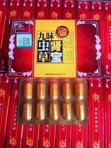 九味虫草肾宝