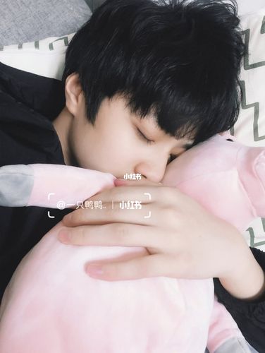 抱着猪猪睡觉也太可爱了叭_刘耀文_娱乐_明星娱乐资讯