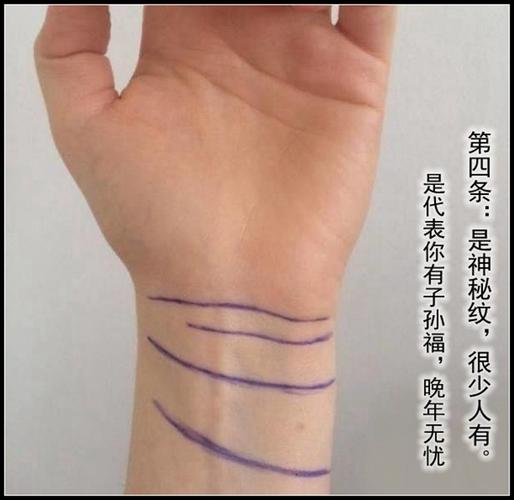 [转载]从手腕纹看出你的先天条件!