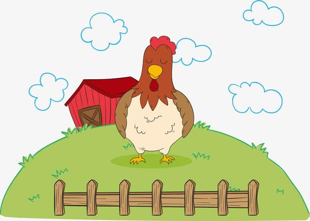 闭目养神的大公鸡