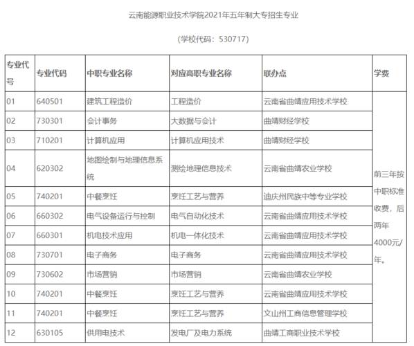 2021年云南能源职业技术学院五年制大专招生专业