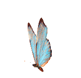 164_159gif 动态图 动图